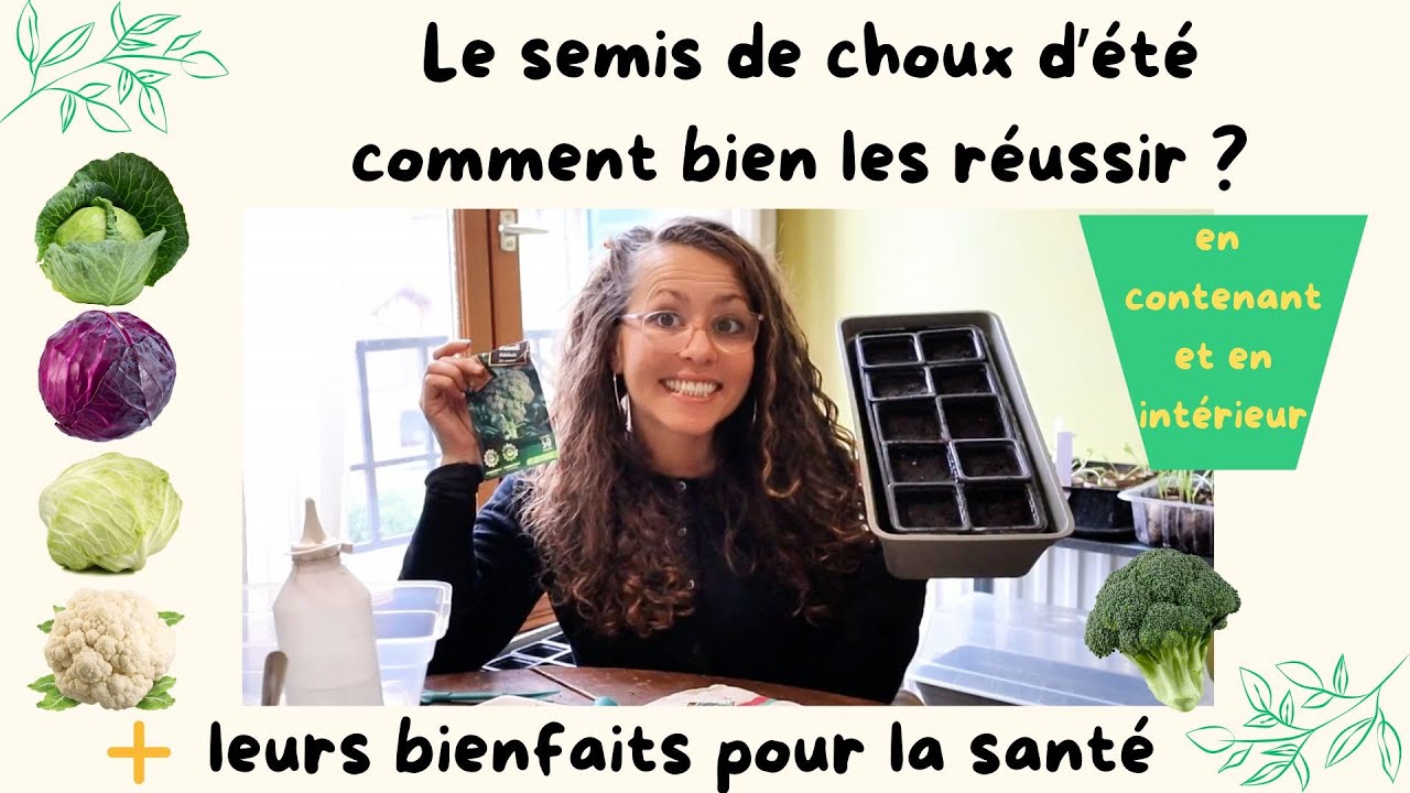 Comment réussir le semis de choux ? 🌞🥬 #semis #choux #seeding  #potager