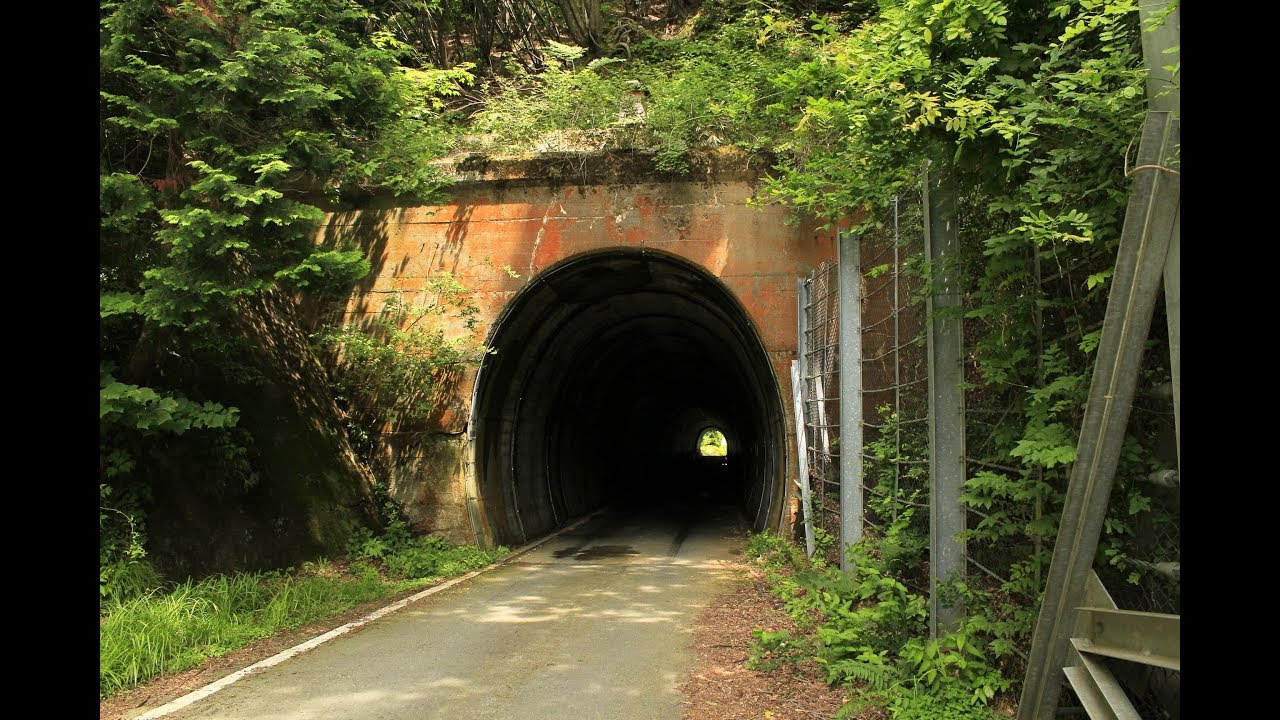 【険道/卵型トンネル】滋賀県道295号 市場野田鴨線【入部谷越】