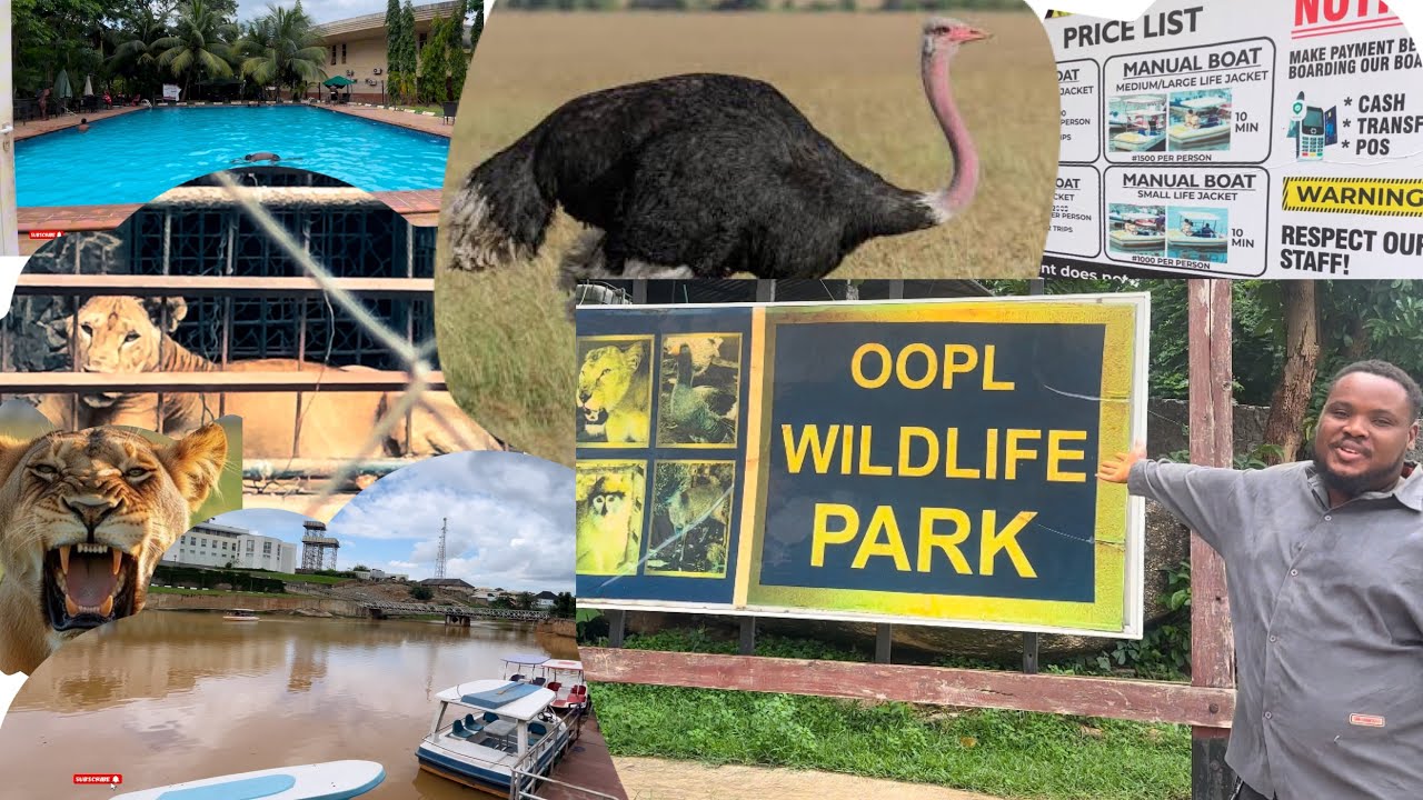 Inside the best resort in Abeokuta Olusegun Obasanjo Presidential library,zoo,boatcruise,pool,cinema