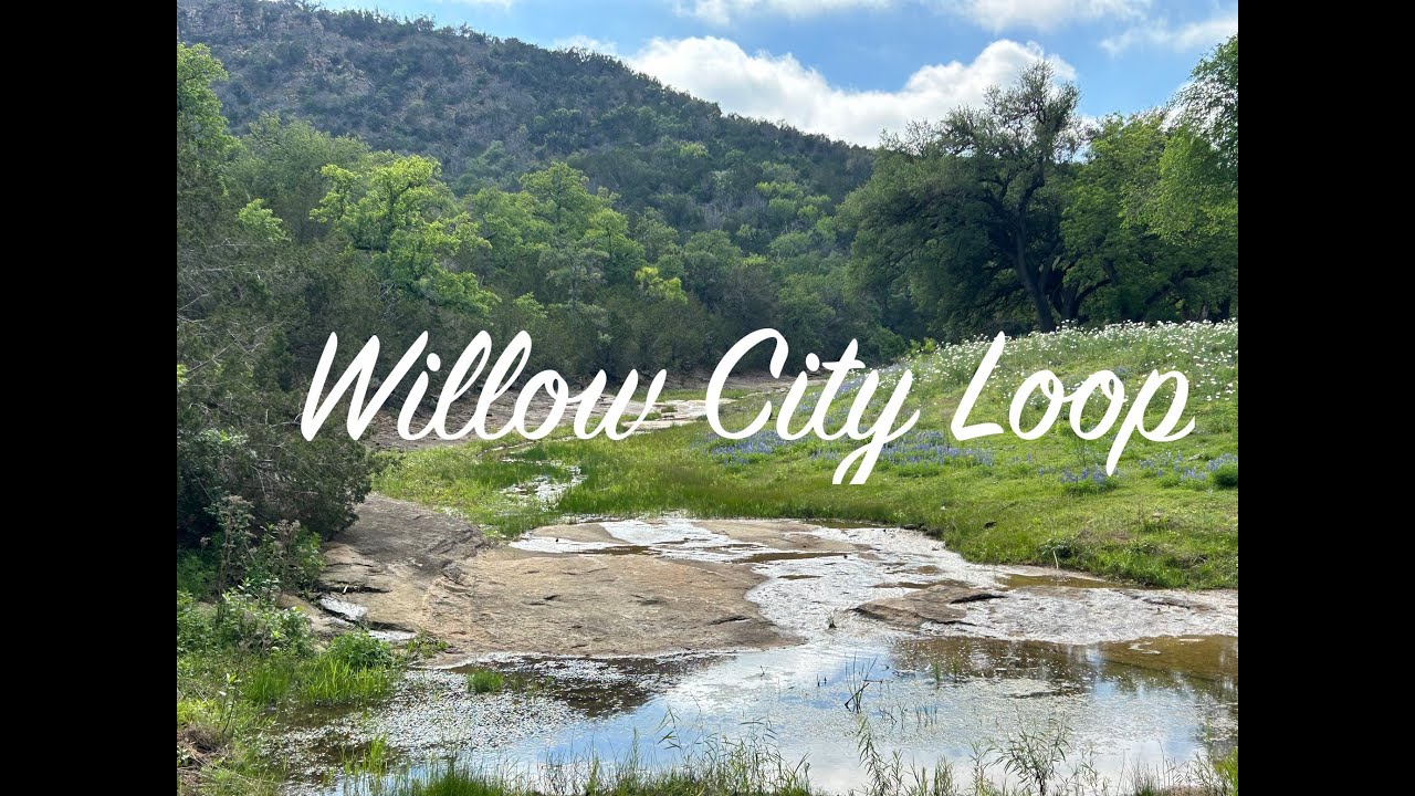 Willow City Loop 2023 | One of the Best Places to See Bluebonnets in the Hill Country