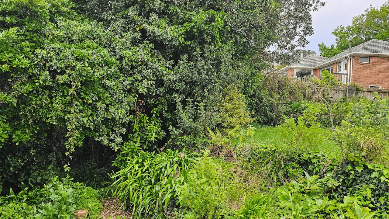They Didn&rsquo;t Know What Was Hiding in This Overgrown Garden&hellip; Until We Found It