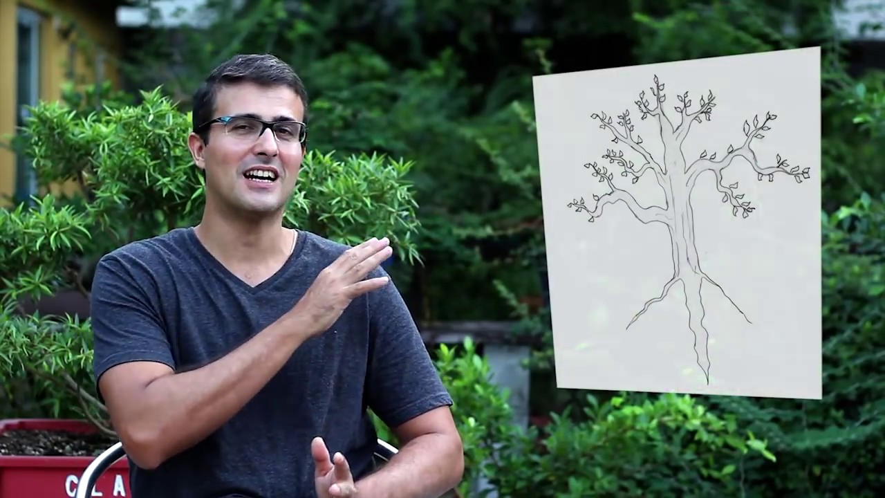 Pivotante - Poda de Raiz do Bonsai