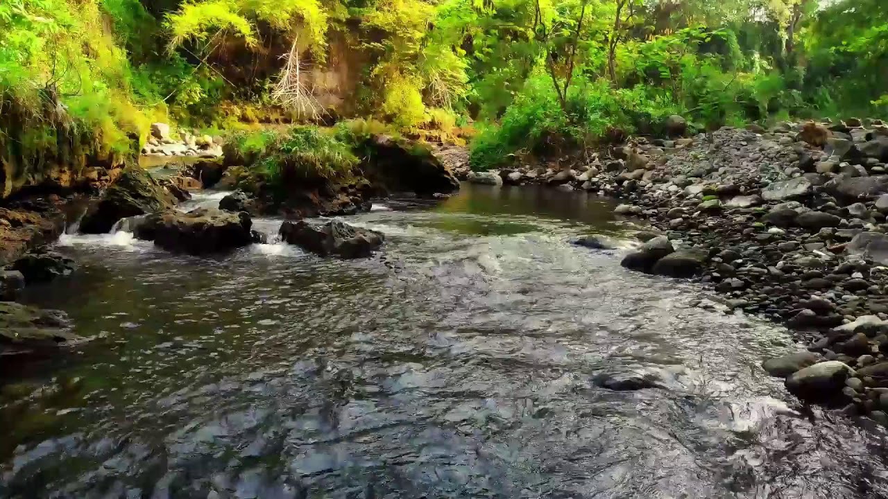 Deep River Sound Therapy for Emotional Healing and Stress-Free Sleeping