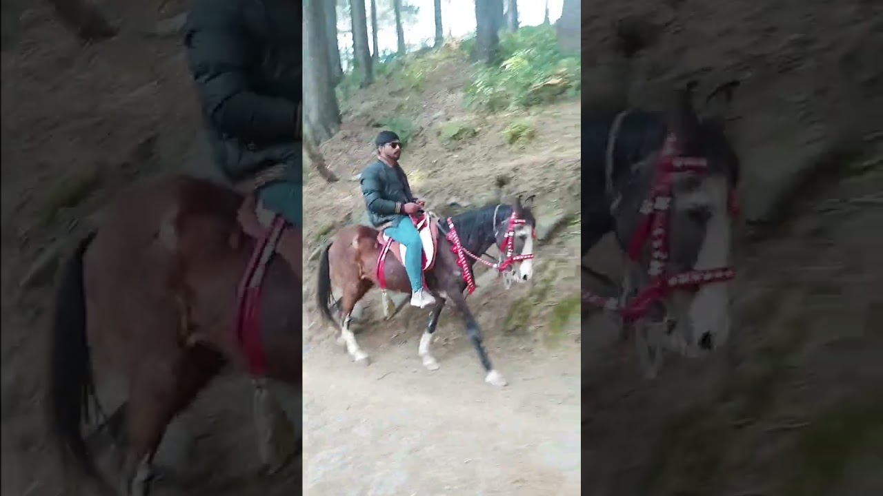Horse riding on the  mountains #youtubeshorts#youtube#travel #pak #discoverpakistan #pakistantour