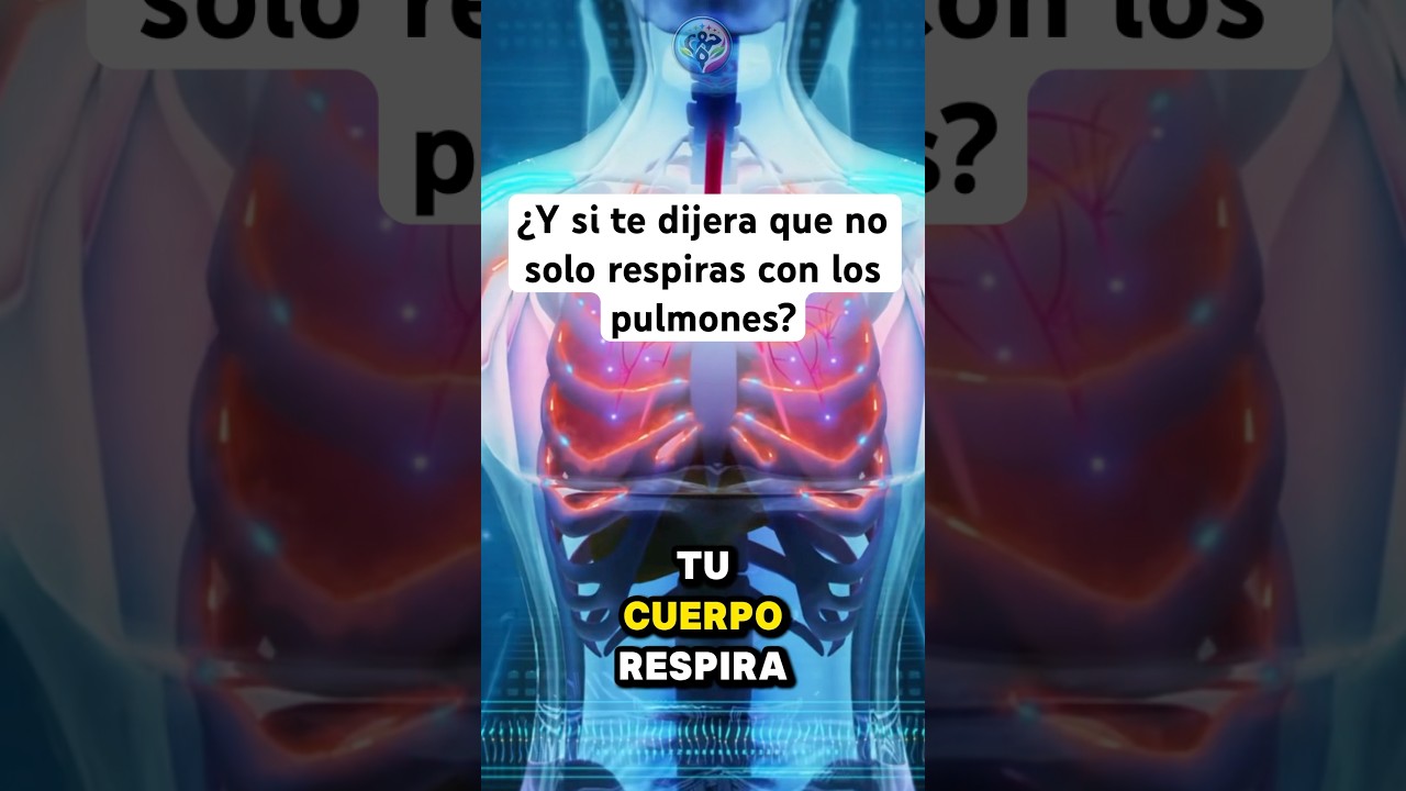 &iquest;Sab&iacute;as que no respiras solo con los pulmones? Descubre c&oacute;mo tus c&eacute;lulas utilizan el ox&iacute;geno