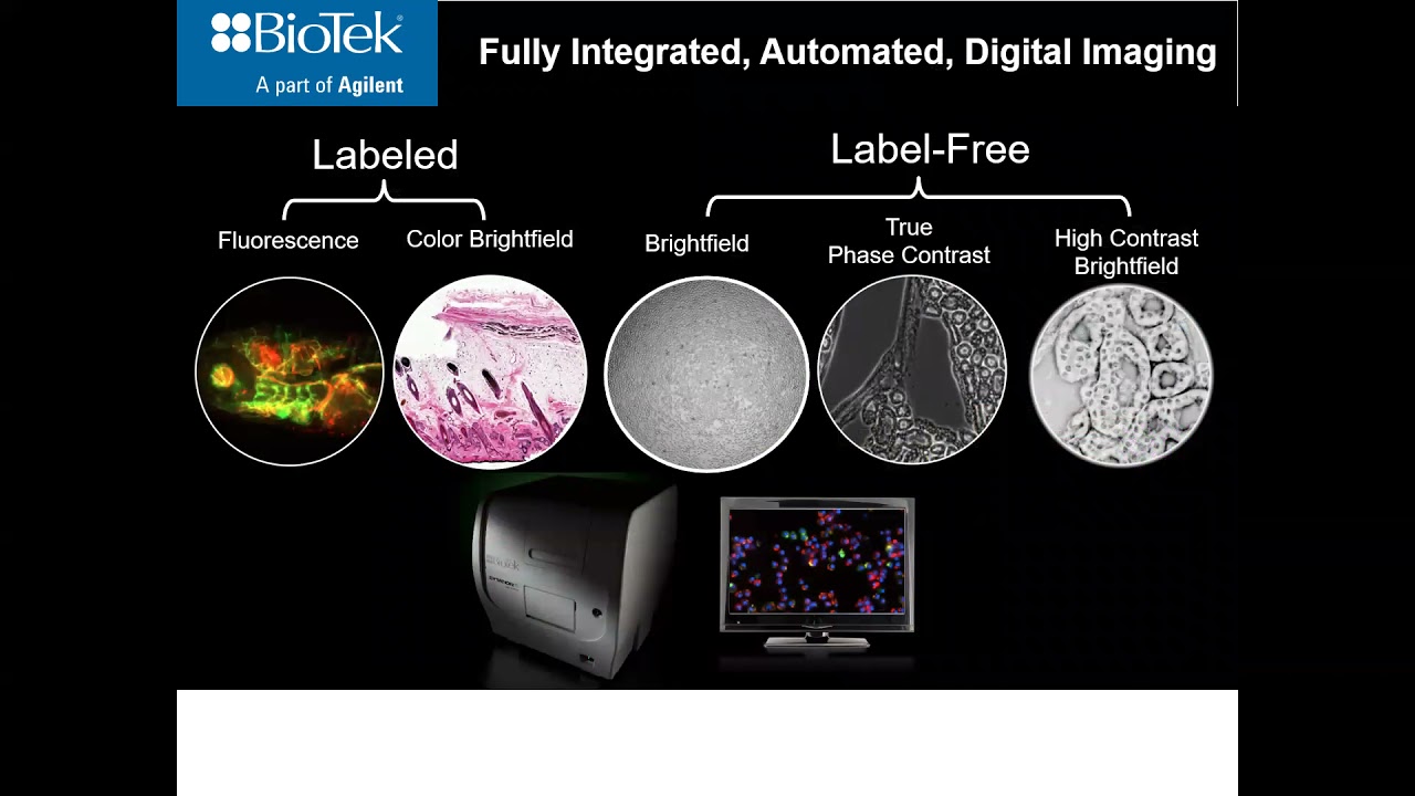 BioTek Cytation 5 Seminar and Demo