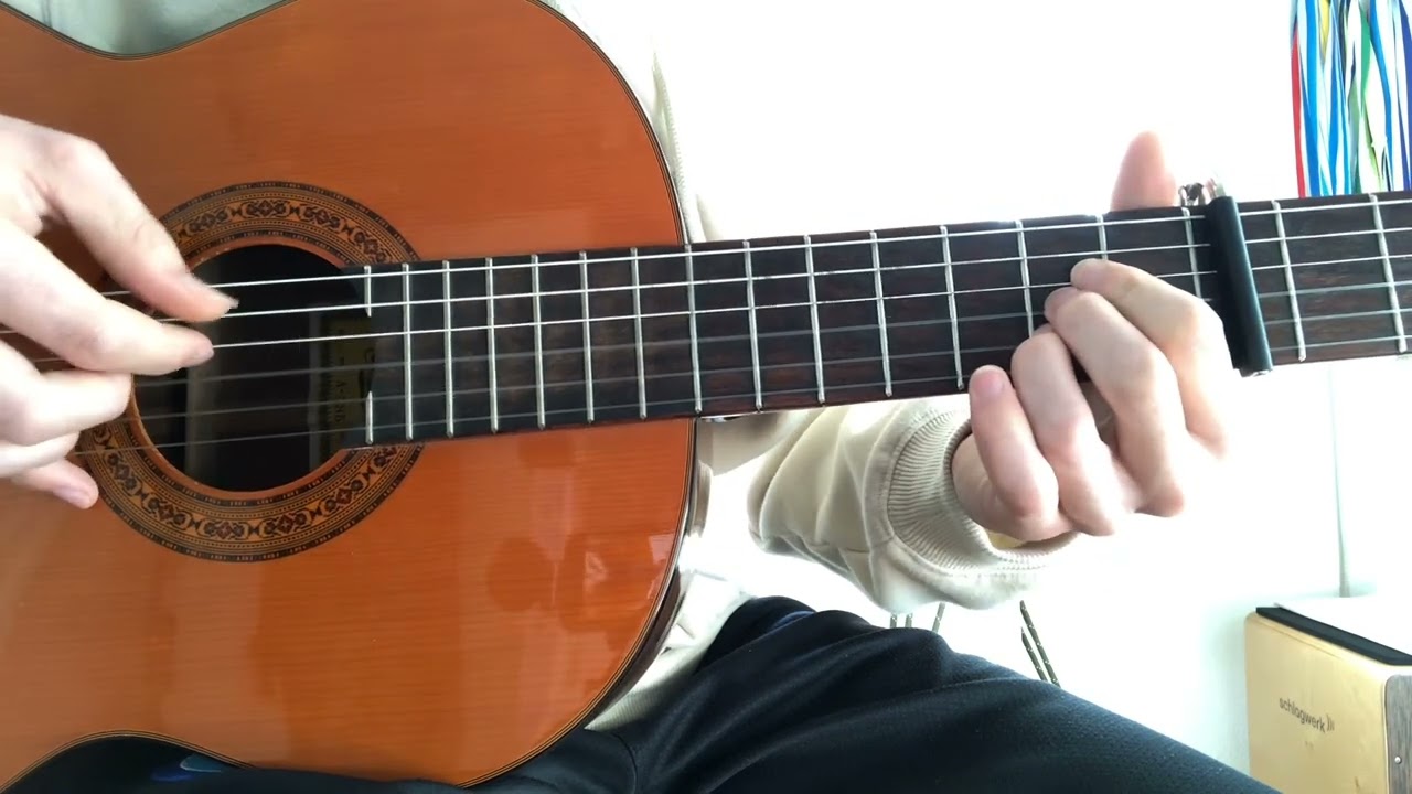 Paky - Blauer | Guitar Cover-Tutorial