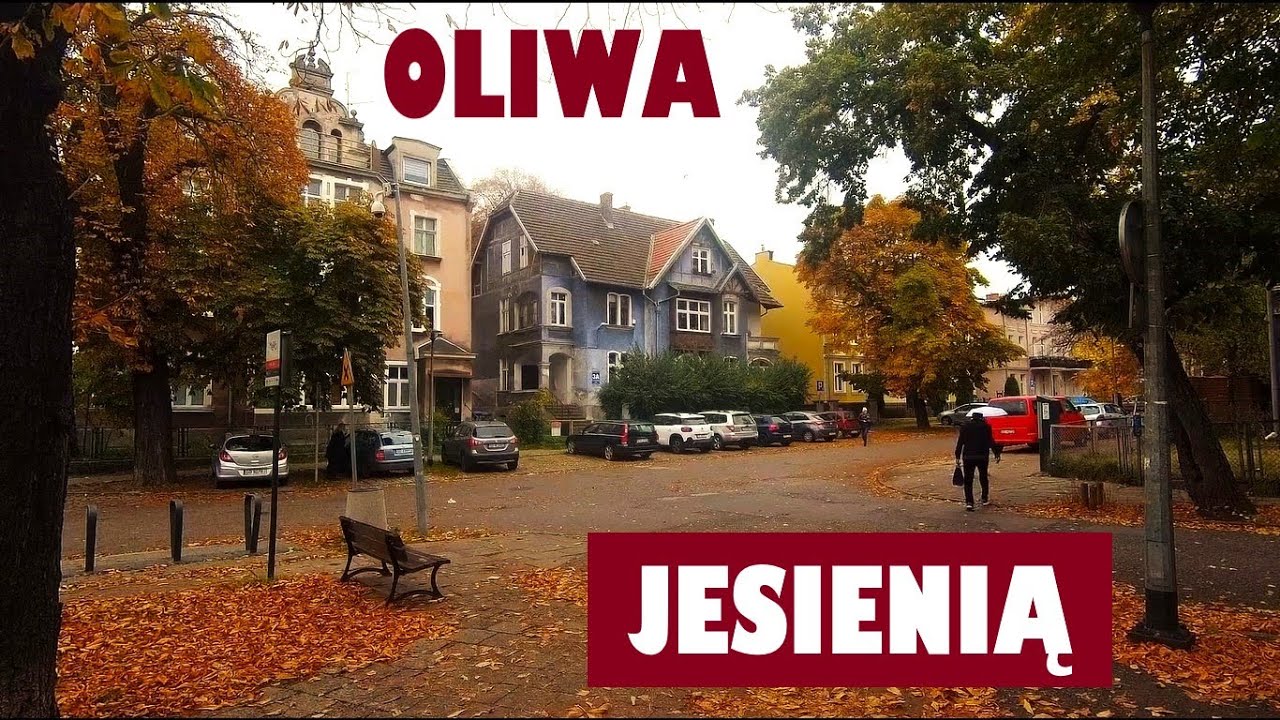 Gdańsk Oliwa jesienią - in autumn. Tricity, Poland, Baltic Sea