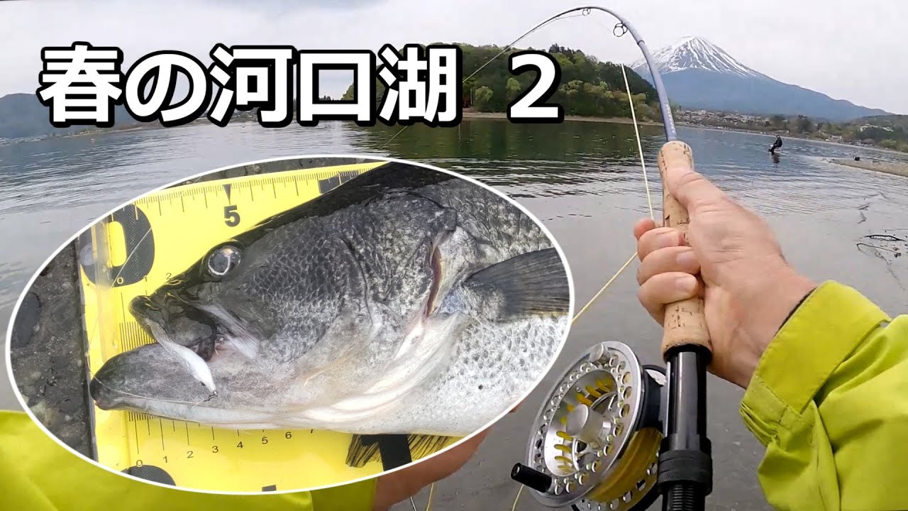 【水温14～17℃】春の河口湖フライでバス釣り(２)表層ワカサギパターン