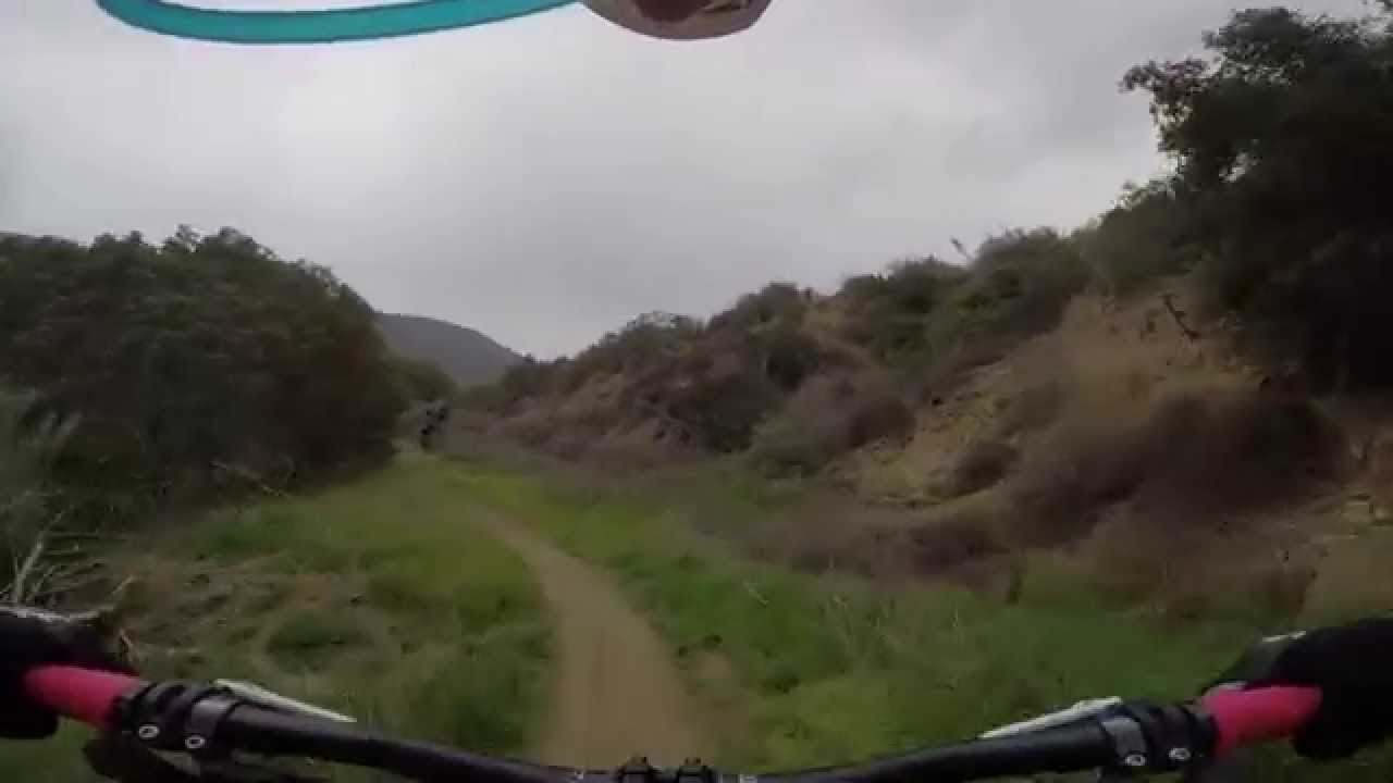 #ladyshred