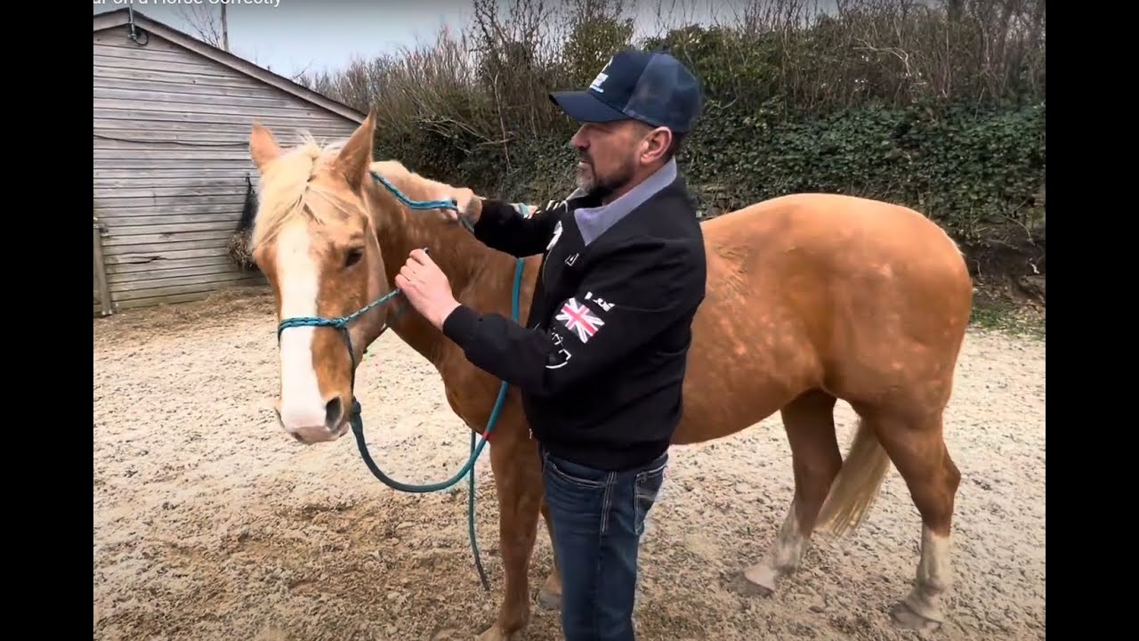 How to put a Rope Halter Head Collar on a Horse Correctly