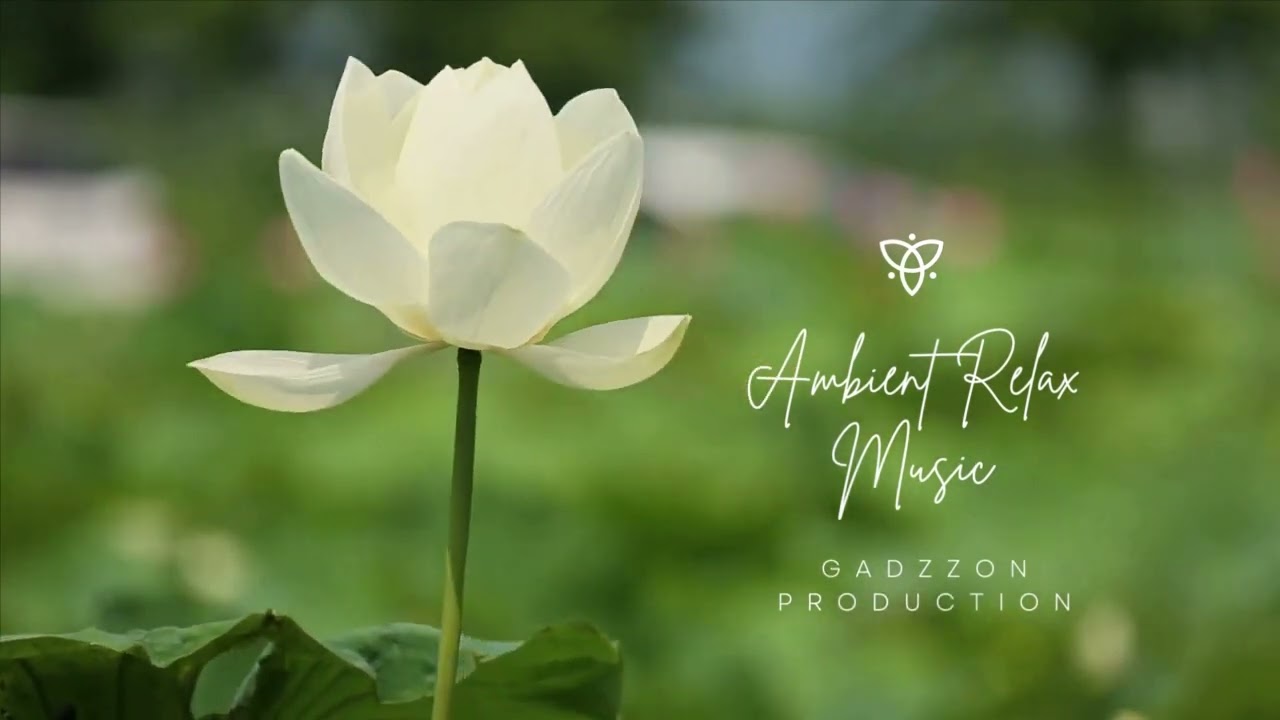 Ambient Relax Music #hypnoticmusic #musicsleeping #ambient #sleep #ambientsleepmusic #ambientmusic
