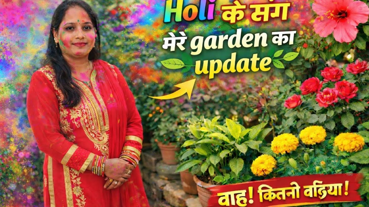 होली के संग मेरे गार्डन का अपडेट 🌿🎨 | नए फूल और नई ग्रोथ