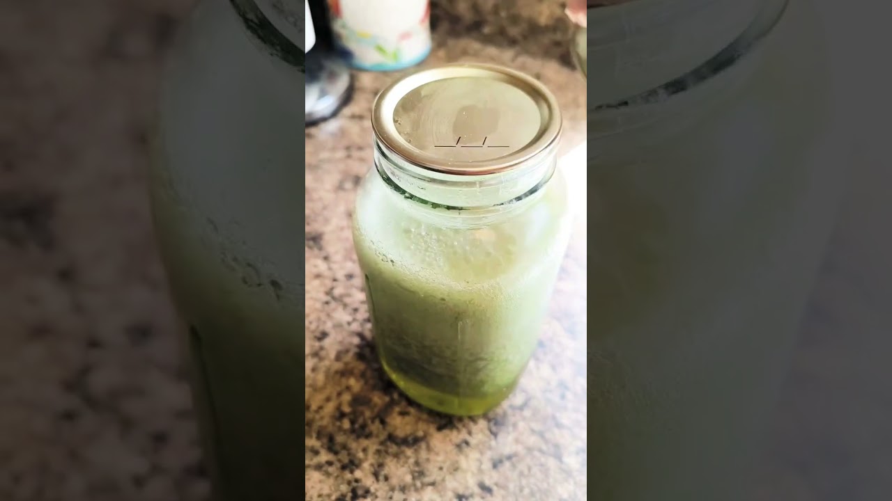 La receta de s&aacute;bila para los tumores #receta #aloevera #sabila #tumores #cancer