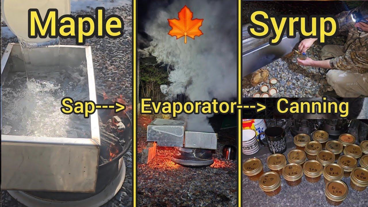 Full Video, Maple Syrup Production, Evaporator, With Spark Arrester 