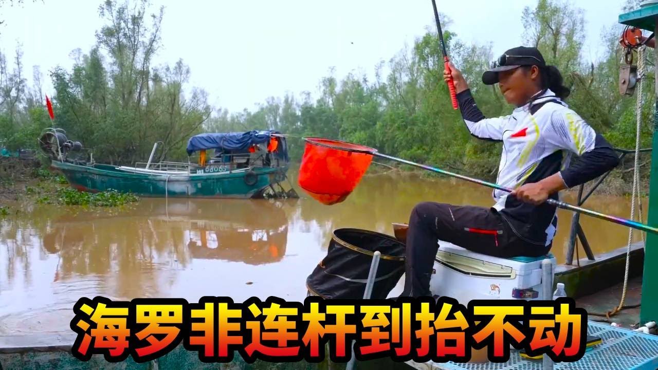 湛江野钓海罗非，鱼货连杆到抬不动，这样的钓位和鱼情就问你们羡不羡慕！#游钓黑坑 #钓鱼 #罗非鱼 #湛江