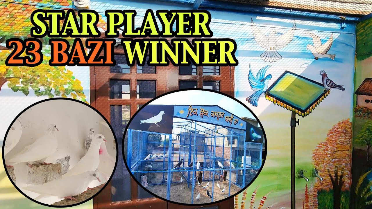 Mani Jalmana Champion Punjabi/ Malwai Kabootar || GARMI ME JEETI 23 BAZI ||