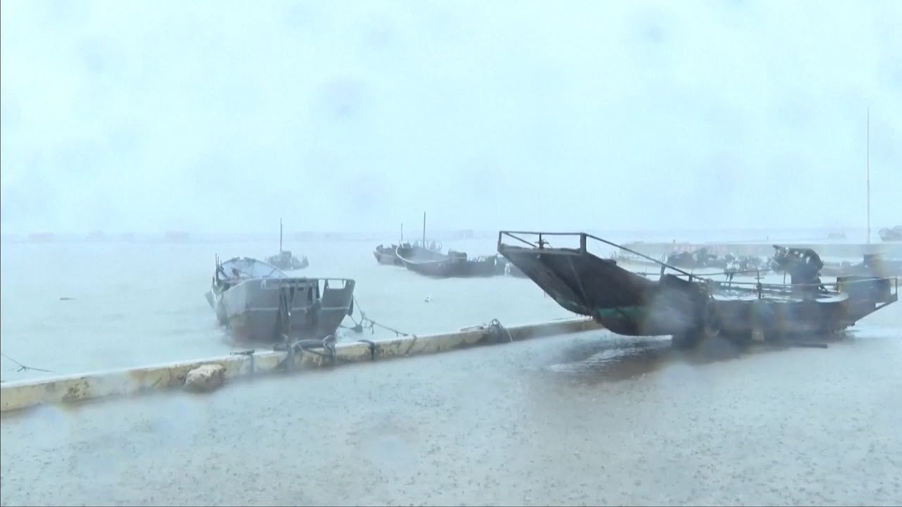Typhoon Gaemi makes landfall in east China's Fujian