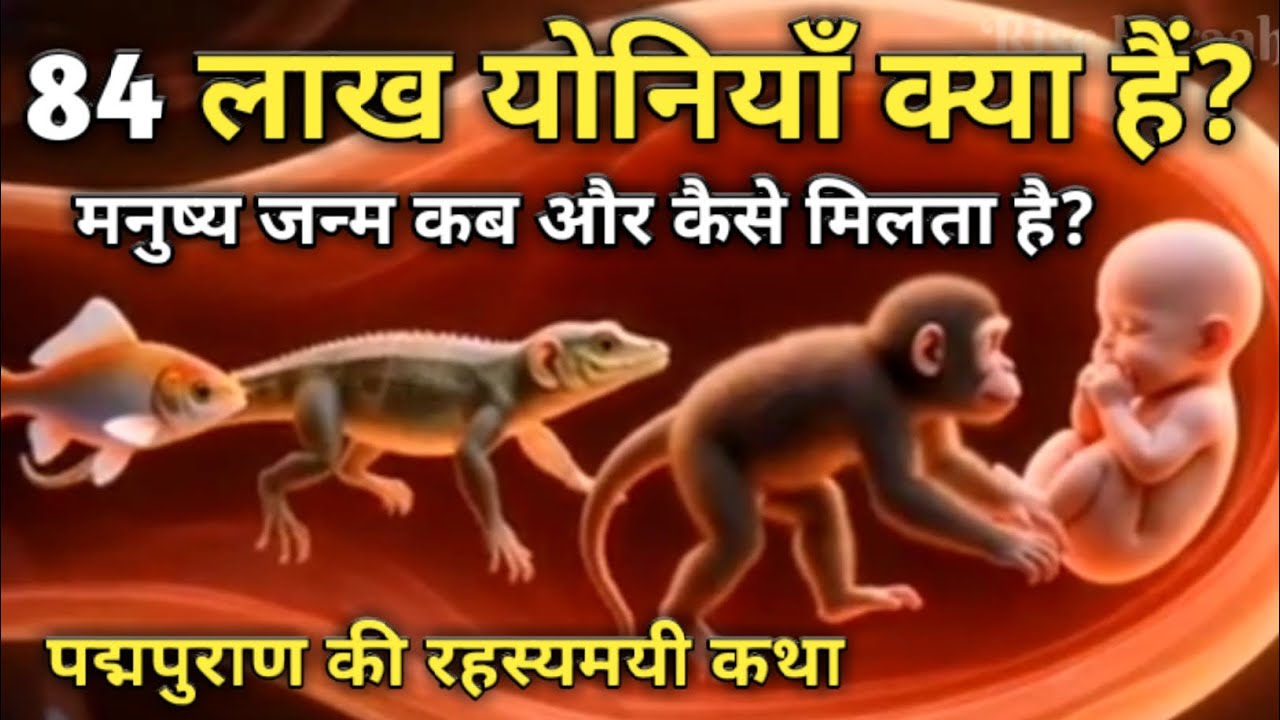 84 लाख योनियाँ क्या हैं? | मनुष्य जन्म कब और कैसे मिलता है? | पद्मपुराण की रहस्यमयी कथा