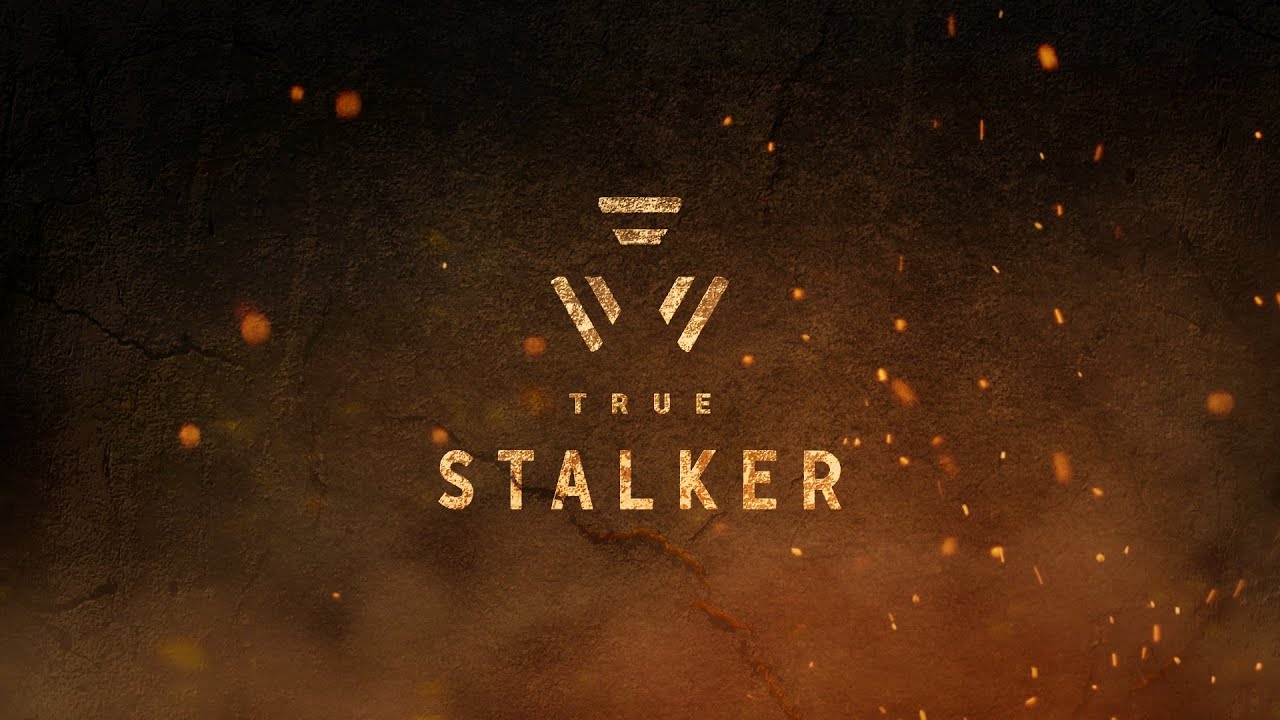 S.T.A.L.K.E.R. - True Stalker (стрим 22)