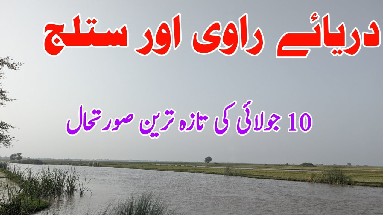 Ravi and Satluj river today news |  Darya e satluj news today | Ravi river update today | 