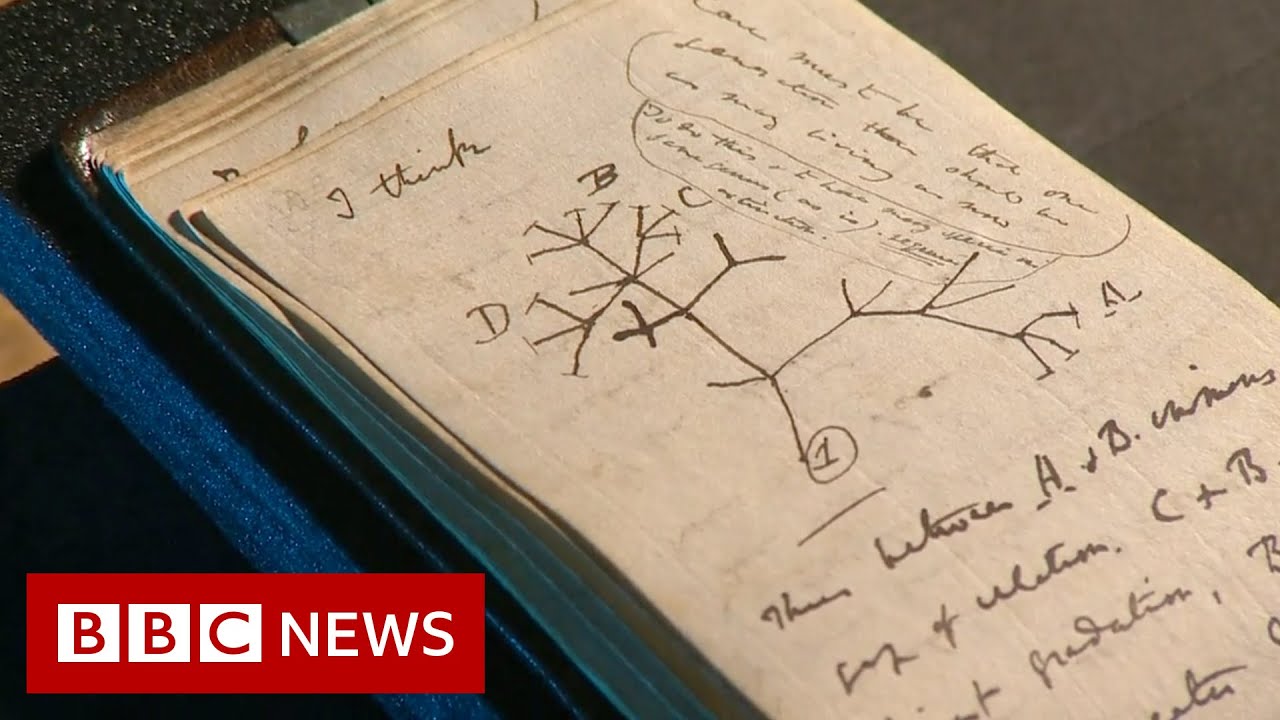 'Stolen' Charles Darwin notebooks left on library floor in pink gift bag - BBC News