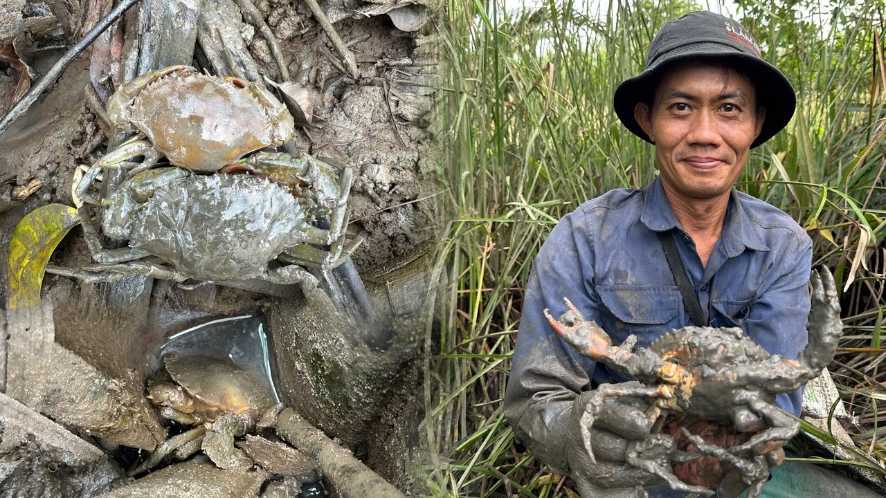 Mò Tôm Càng đã rồi thì Bắt Cua Biển... Anh Em Cần Giờ