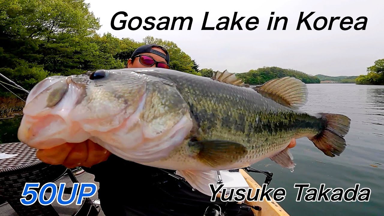 Japanese Bass Fishing Style In Korea Gosam lake/고삼저수지 배스낚시