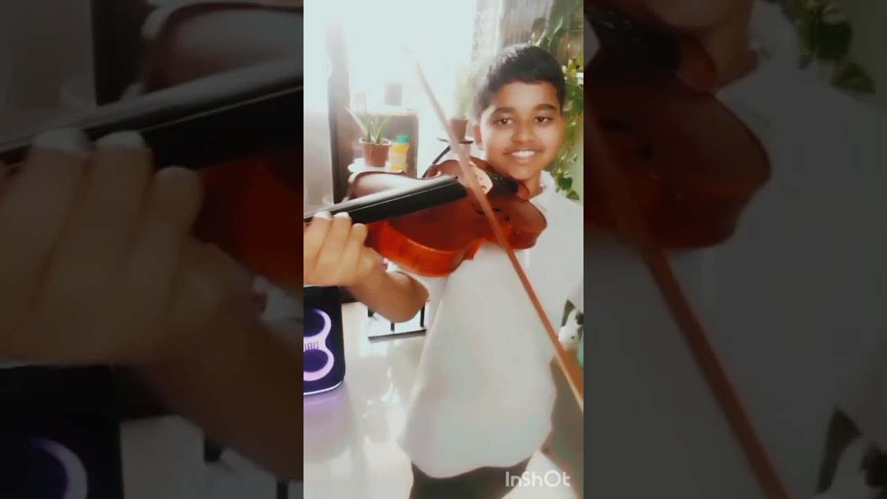 DANDELIONS VIOLIN VERSION