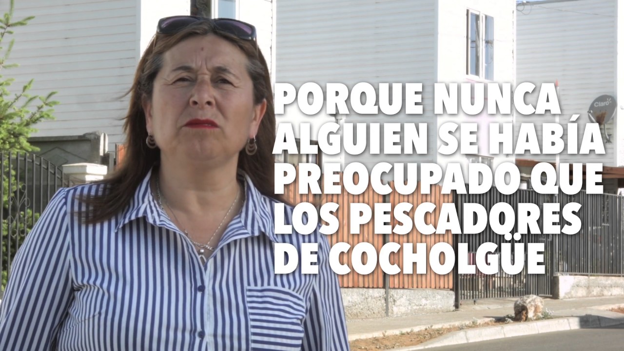 Reconstrucci&oacute;n caleta Cocholg&uuml;e