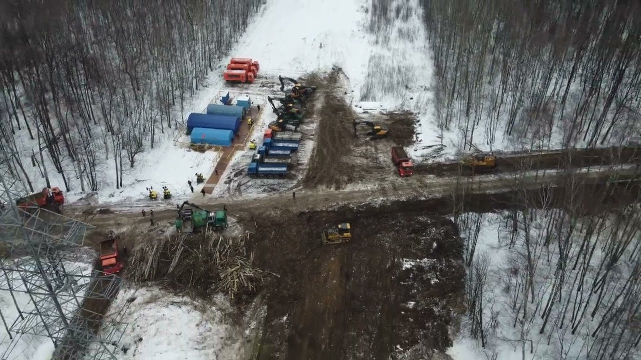 Вырубка Национального парка Лосиный Остров. Строительство дороги из мусора в природоохранной зоне.