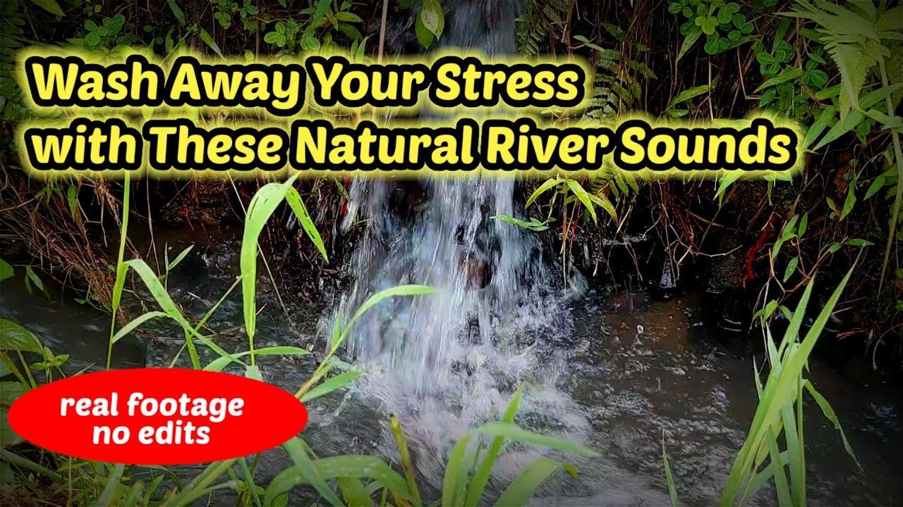 45 MINUTES OF PURE RELAXATION