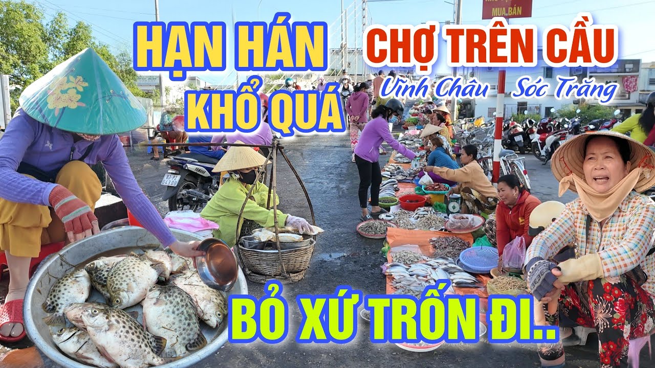 QUÁ KHỔ HẠN HÁN KÉO DÀI HOA MÀU THẤT BÁT, BỎ XỨ TRỐN ĐI - BÀ CON CHỢ VĨNH CHÂU KÊU TRỜI