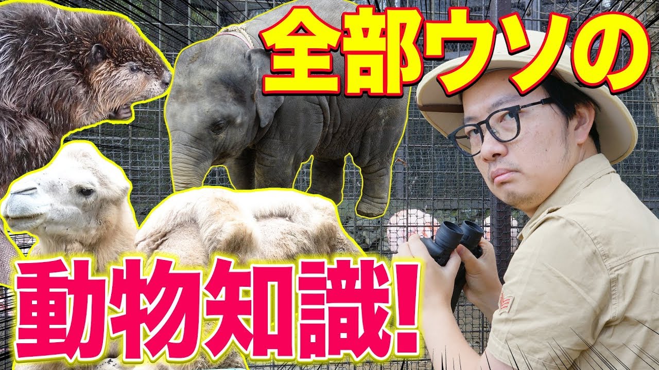 動物園でウソ知識を言いまくったら、チンパンジーから逆襲にあった！！！