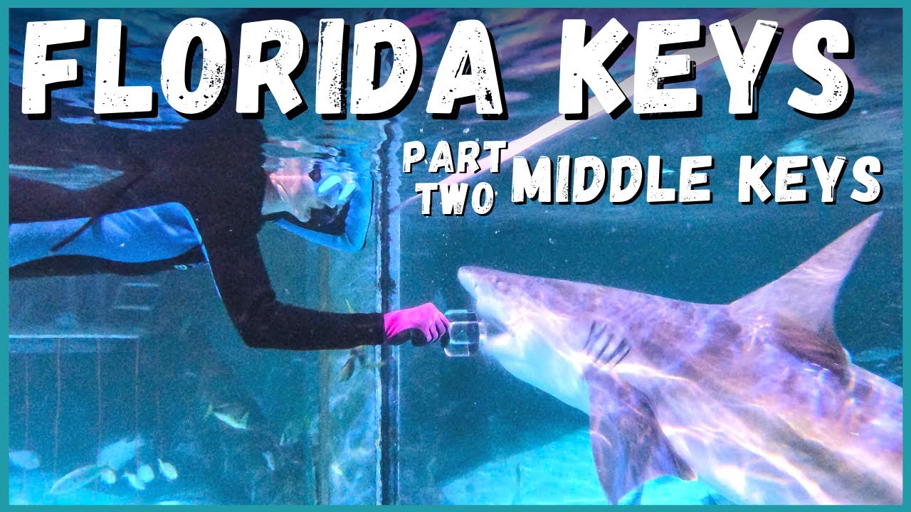 🦈🏝️ Ultimate Florida Keys Road Trip: Middle Keys What to See, Do and Eat! | Newstates in the States