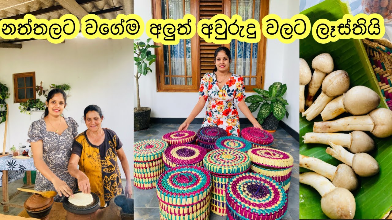 අත්තම්මාව හදිසියේ අපේ ගෙදර එක්කගෙන ආවේ ඇයි?😭❤️ || day vlog with grandma || My Diary