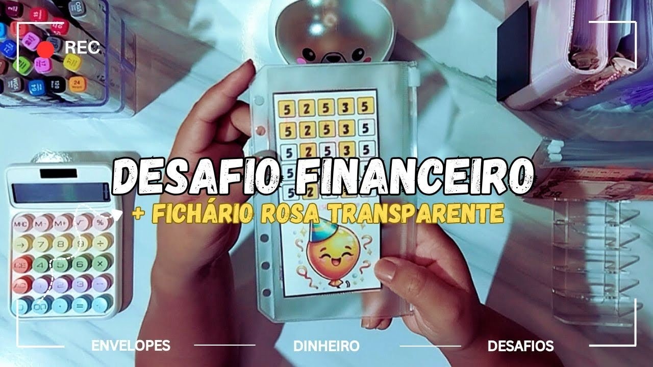 FICHÁRIO ROSA + FICHÁRIO ROSA TRANSPARENTE + DESAFIO DAS MOEDAS 🩷✨