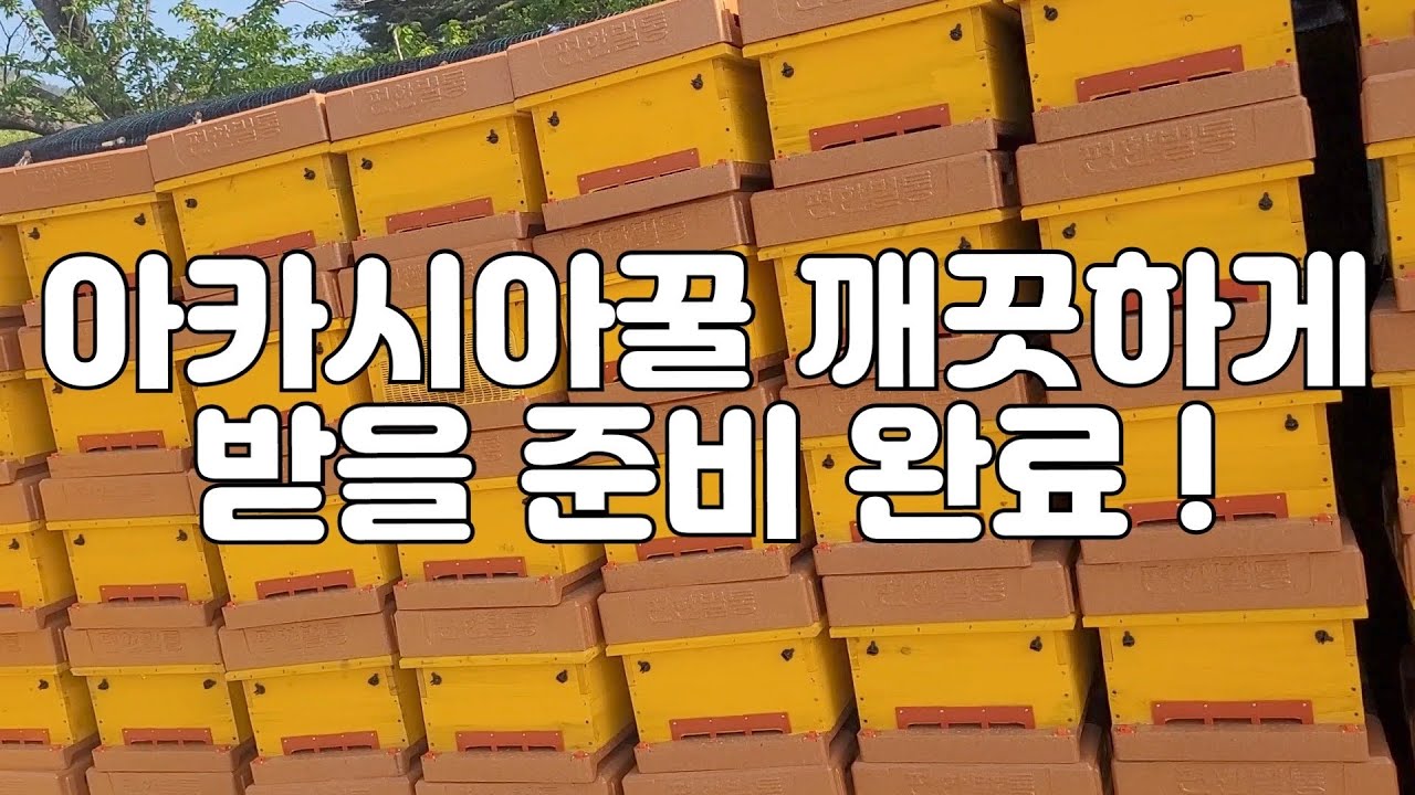 아카시아꿀 받을 준비하기(통갈이하며 가상올렸어요)