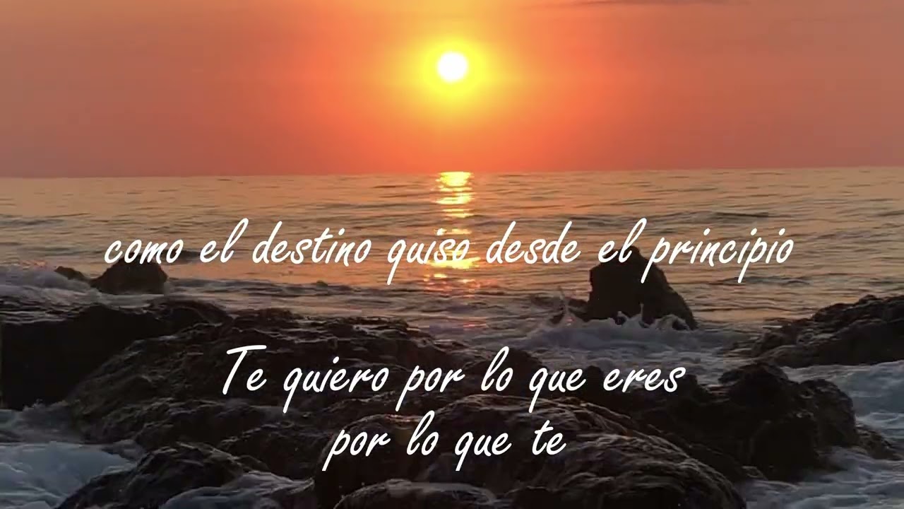 Moricci   - Gracias por Encontrarme (Lyric Video Oficial)