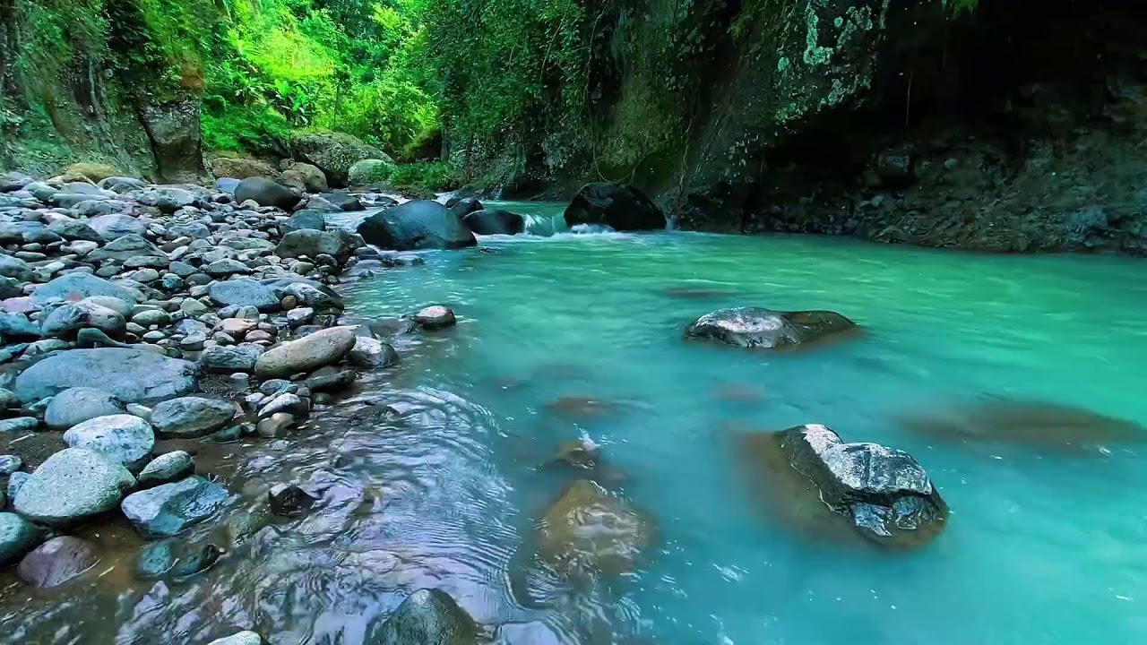 Forest River Gentle Water, Mountain Stream Flow, Sleep