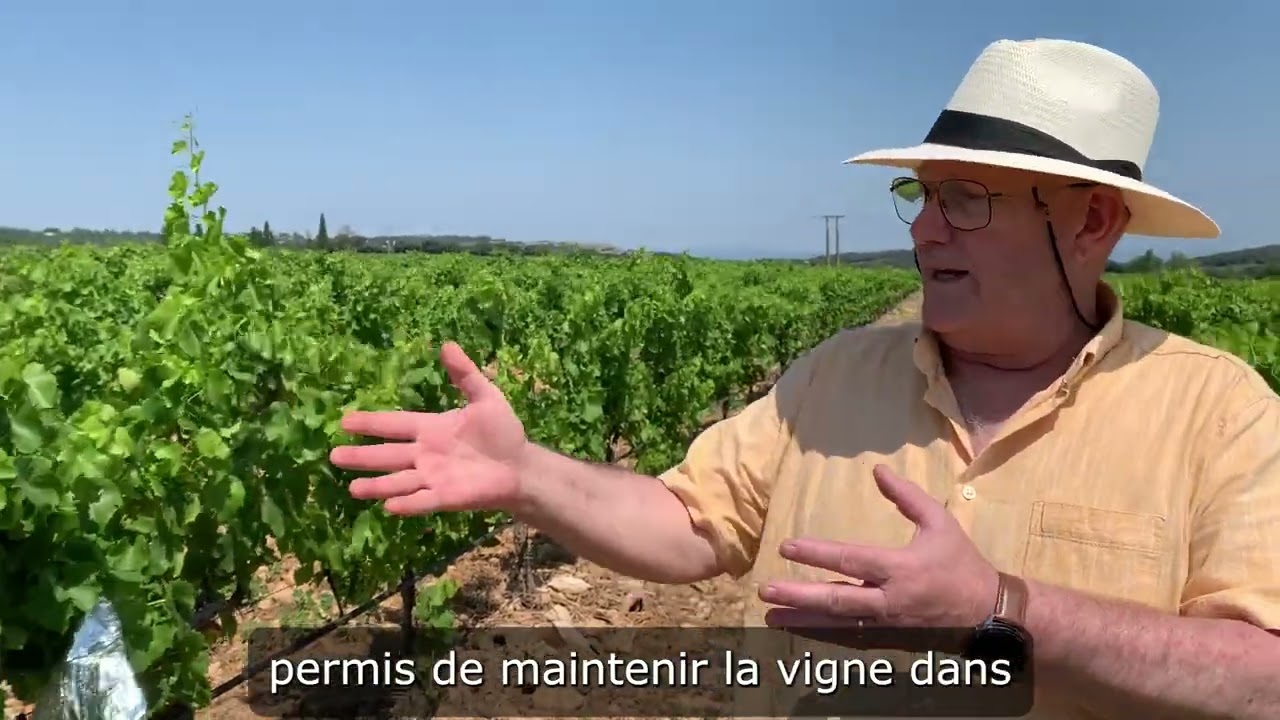 Grapevine Irrigation Management - by Alain Deloire & Pierre Gérus