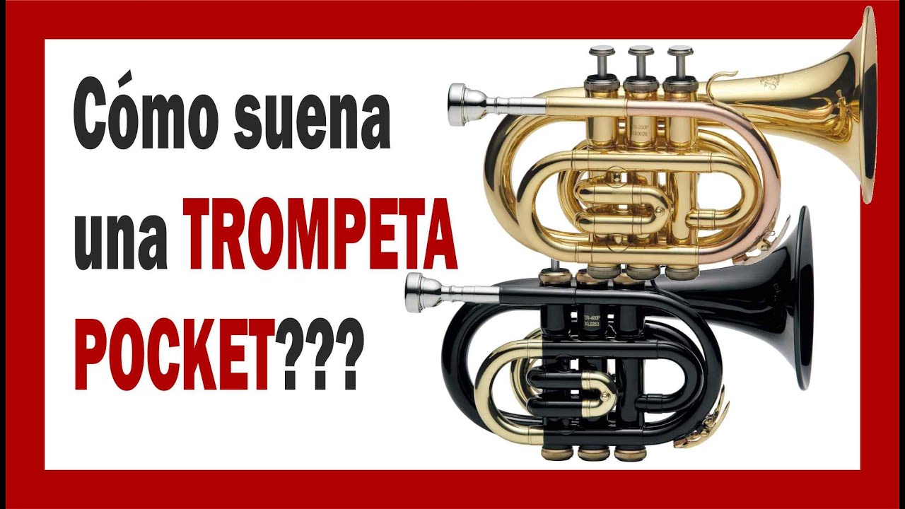 🙋‍♂️ Qué es una 🎺TROMPETA POCKET ó de BOLSILLO??