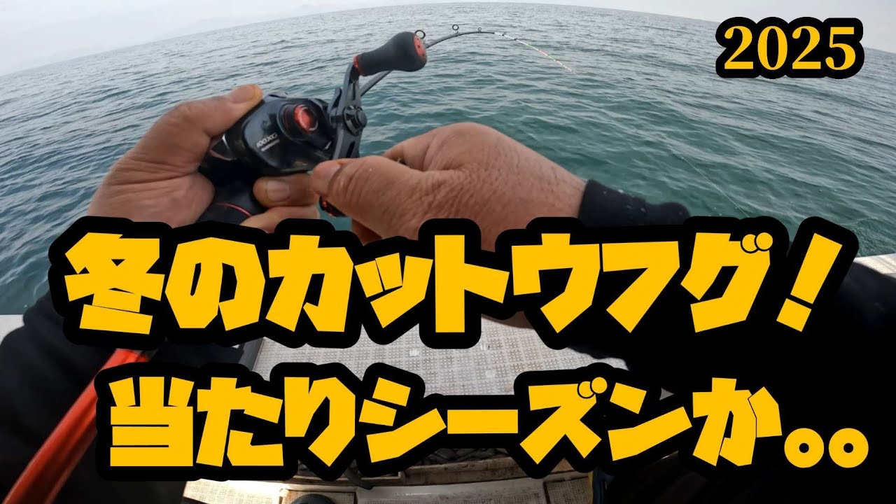 真冬のカットウフグ開幕❗2025年12月2日