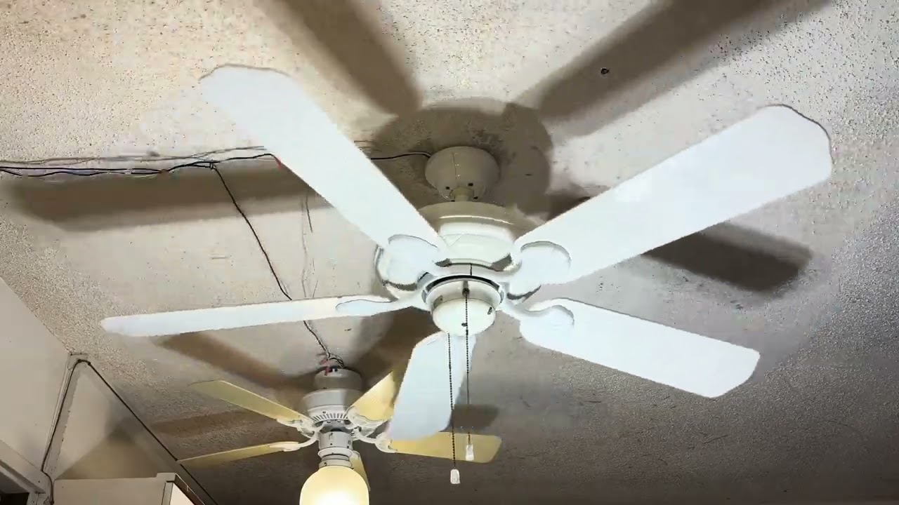my 5 Casablanca Lanai ceiling fans