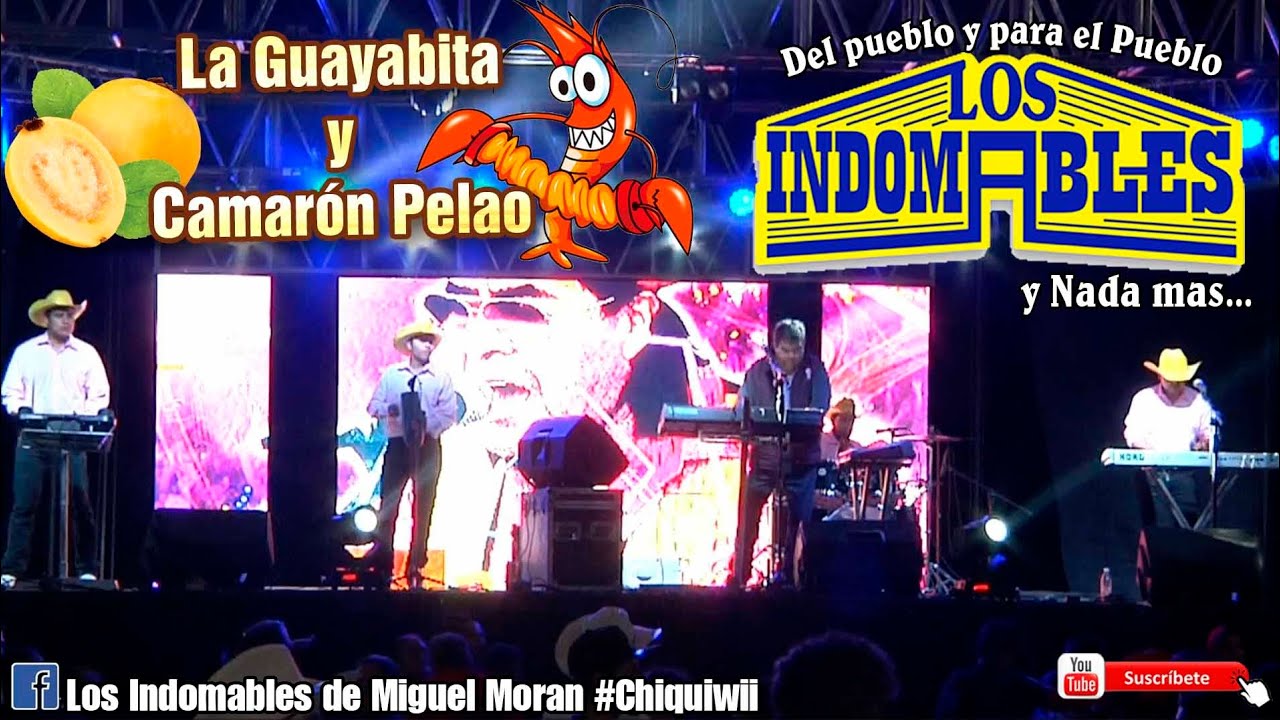 Los Indomables En Vivo 2024 || La Guayabita y Camaron Pelao