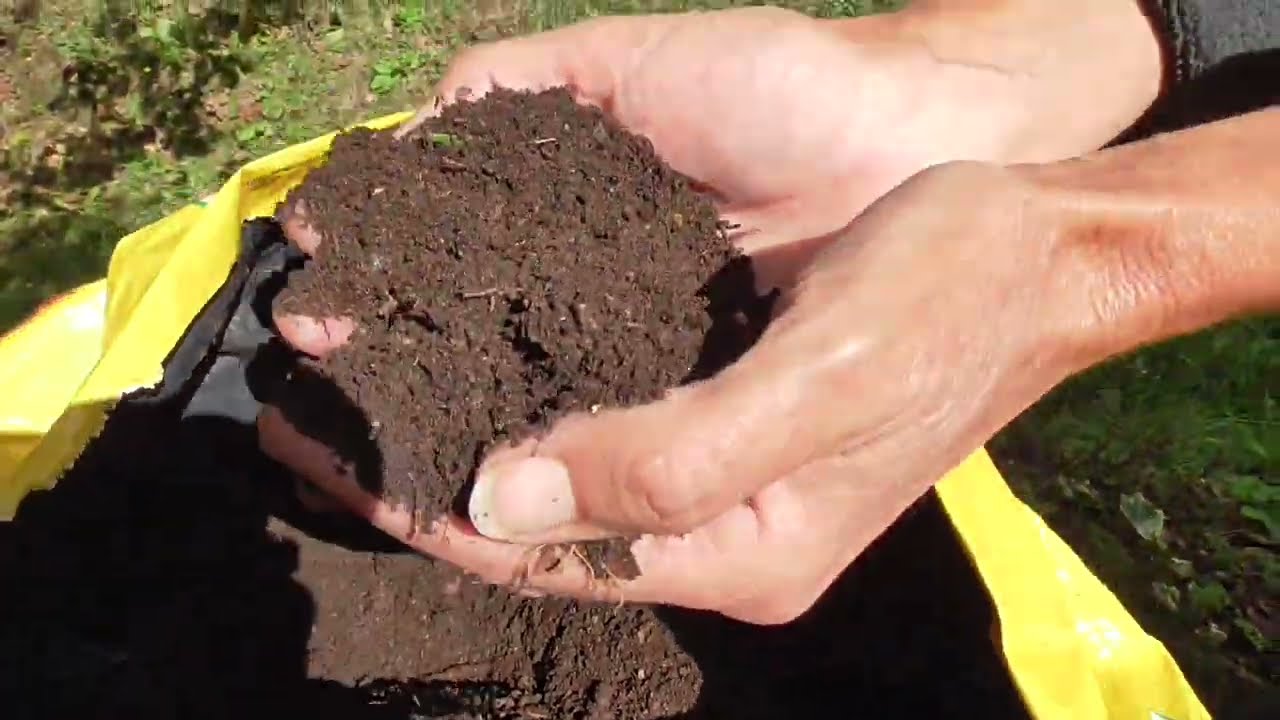 Indicazioni per un buon composto di foglie: utilizzo, proprietà