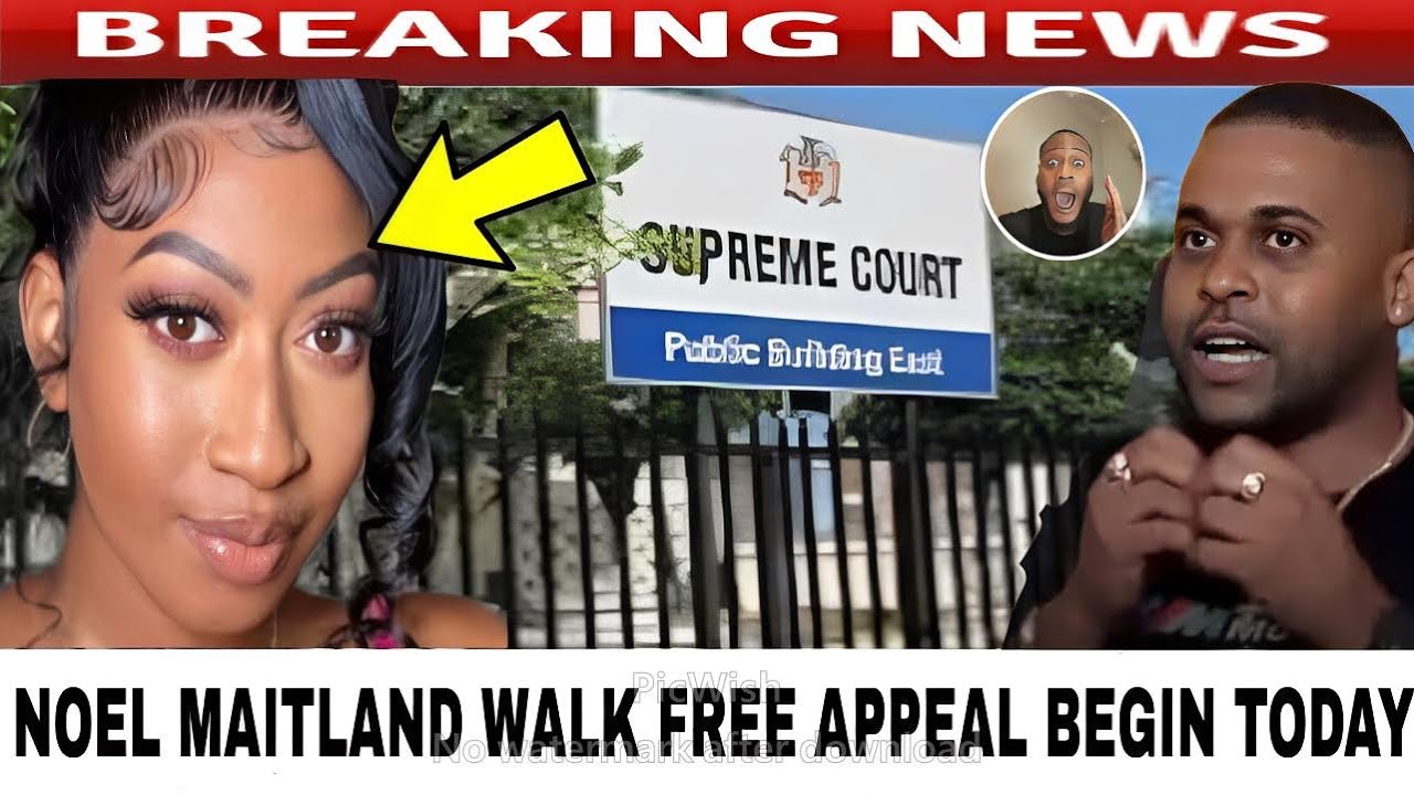 Breaking NOEL MAITLAND Walk Free Appeal PRIVY COUNCIL MISSION Begins Today Report 