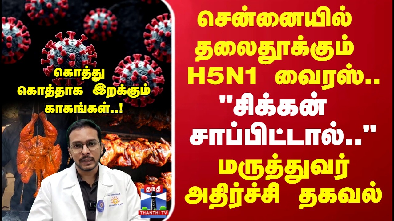 Bird Flu |சென்னையில் தலைதூக்கும் H5N1 வைரஸ்.. 