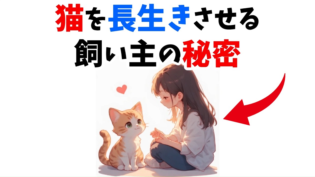 【衝撃】愛猫を20歳まで長生きさせる飼い主が徹底している習慣9選