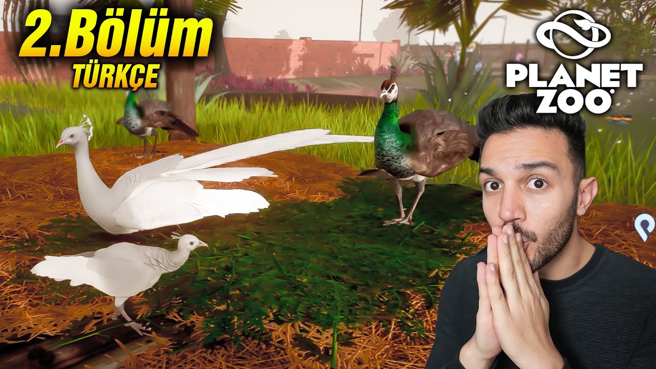 Bıcır bıcır yavrularımız oluyor! Hayvanat Bahçesi büyüyor - Planet Zoo Türkçe [2.Bölüm]